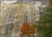 Blackwater Falls