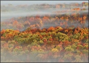 Canaan Valley from Cabin Mountain