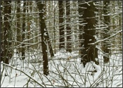 Canaan Mountain in winter