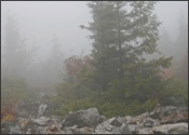 Dolly Sods in the clouds