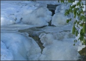 Red Run in winter