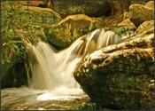 Shays Run in Blackwater Falls State Park