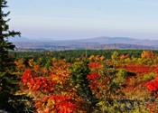 Dolly Sods in October