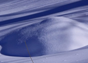 Snow Mounds